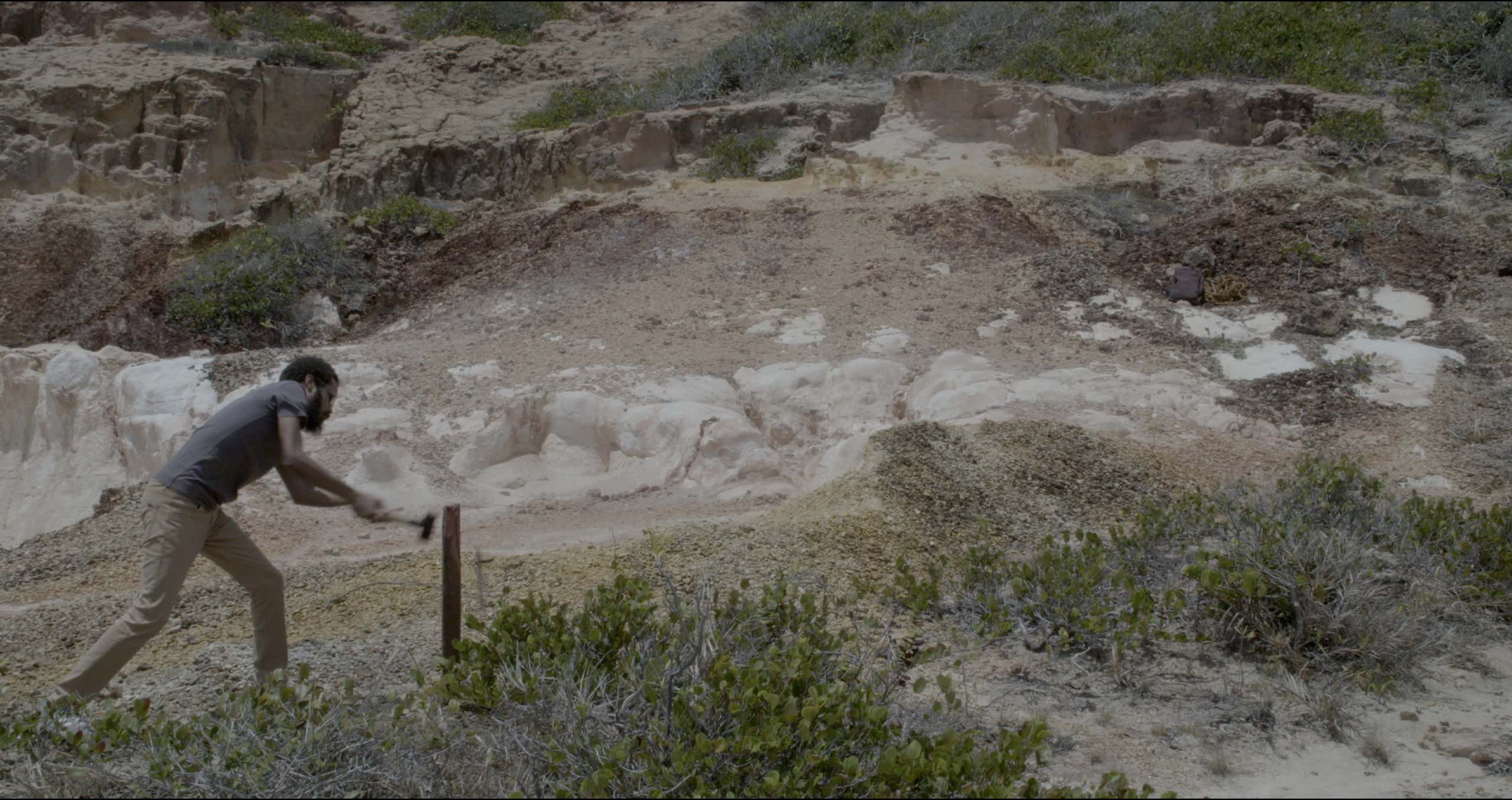 CCMQ lança segundo bloco do projeto Curta no Jardim – audiovisual ao ar livre